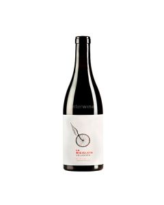 vino la bicicleta voladora 2023