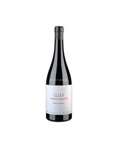 vino gorka izagirre ilun 2024