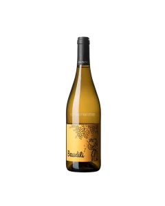 vino mas candí baudili blanc 2024