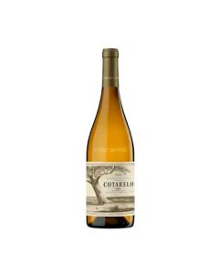 vino o'cotarelo blanco 2025