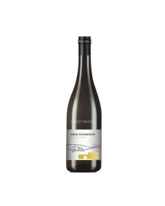vino finca olivardots groc d'àmfora 2024