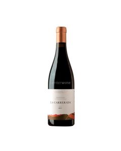 vino la carrerada 2020