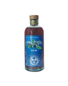 ginebra penitensis sloe gin