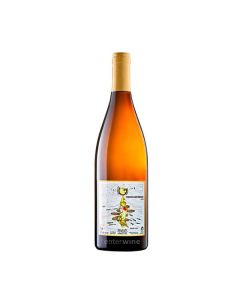 vino principia mathematica 2023