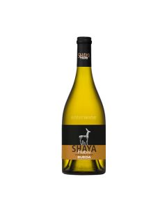 vino shaya habis 2016