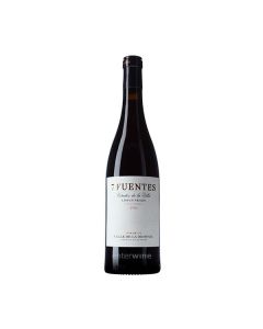 vi 7 fuentes vino de villa 2021