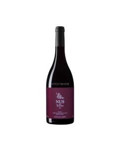 vino nus del terrer 2019
