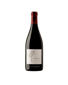 Vallegarcía Syrah 2009 Mágnum
