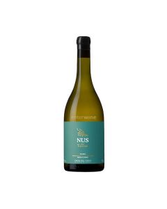 vino nus del terrer blanc 2020
