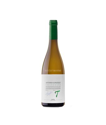 vino antonio gonzález treixadura 2024