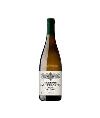 vino terroir sense fronteres brisat 2023