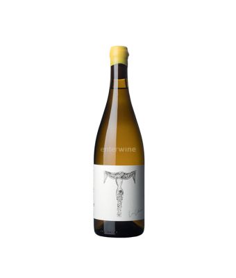 vino verónica ortega la llorona 2024