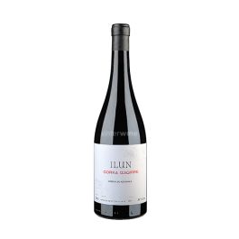 Buy Gorka Izagirre Ilun 2024. Spanish red wine - Enterwine