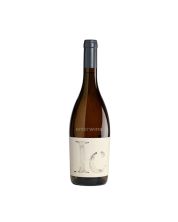 vino ilercavónia 2024