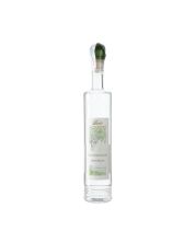 grappa berta monterotondo