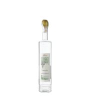 grappa berta valdavi