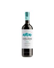 coto de hayas crianza 2011