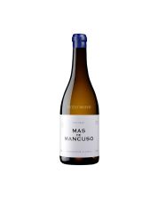 vino mas de mancuso macabeo 2019