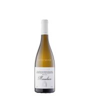 vino massaluca blanco 2021