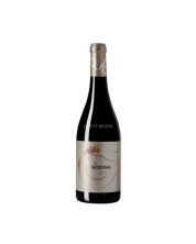 vino morca godina garnacha 2023