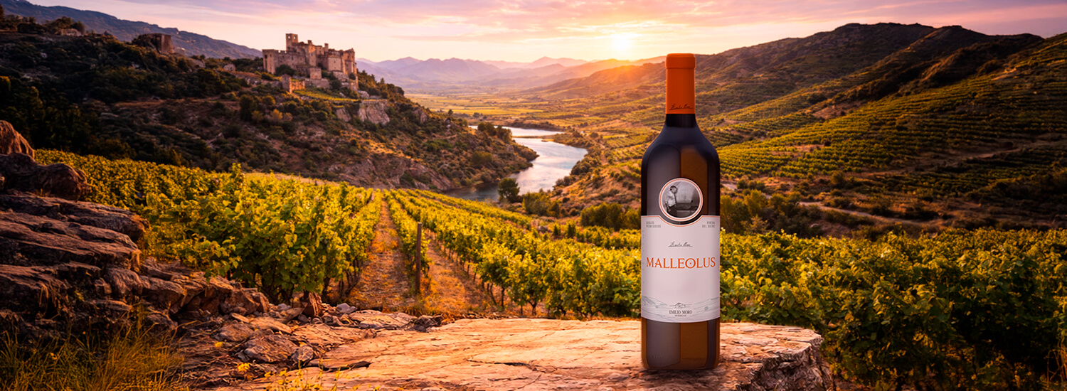 Vins de Ribera del Duero