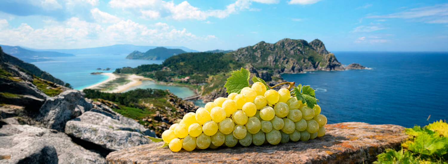 Vins d'Albariño