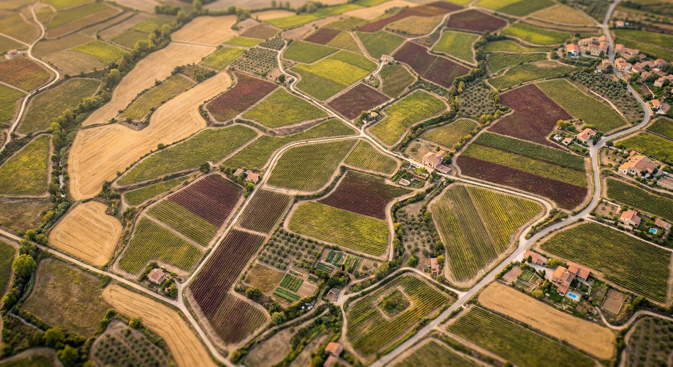 Mundo Vino - Denominaciones de origen